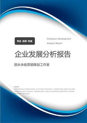 麗水永收營銷策劃工作室企業(yè)發(fā)展與營銷策略分析報(bào)告