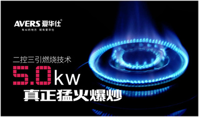 愛華仕廚衛電器喜獲“中國十大燃氣灶品牌”燃氣獎